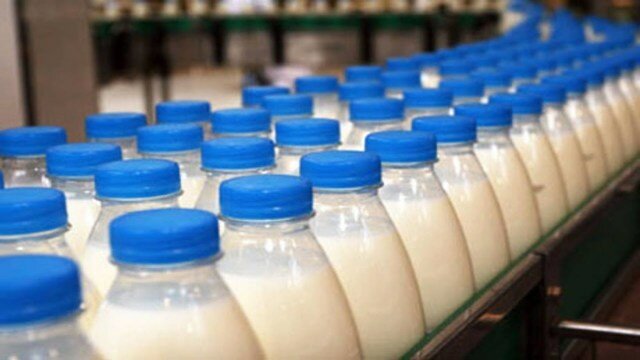 Производство молока в России – условия бизнеса