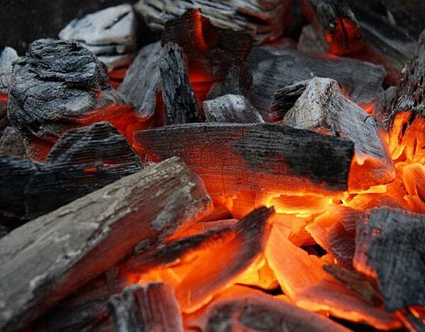 Производство древесного угля, как бизнес – этапы реализации проекта в 2019-2020 году