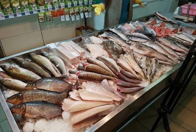 Как открыть рыбный магазин: готовые расчеты